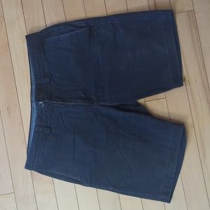 Banana Republic Navy Aidan Shorts